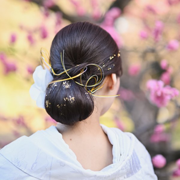 桃の花を背景に、金銀の水引を編み込んだ髪飾りの後ろ姿ヘアスタイル、金箔をあしらった髪。